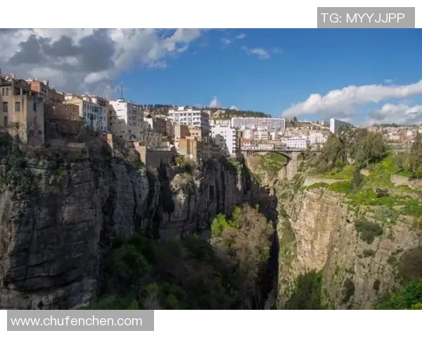 阿尔及利亚与尼日利亚激战正酣赛况分析与精彩回顾