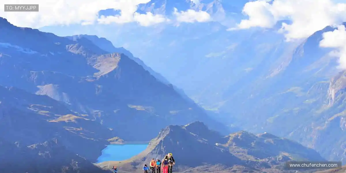 🏀装备升级,战力全开!专业品质,助力每一次突破🚀