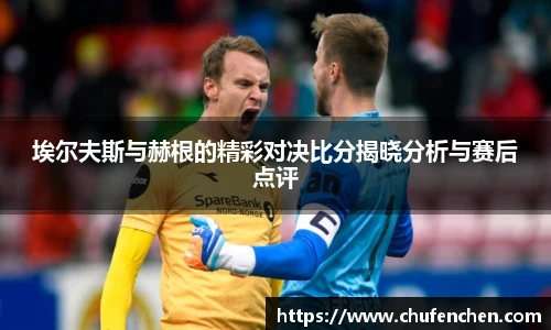 埃尔夫斯与赫根的精彩对决比分揭晓分析与赛后点评